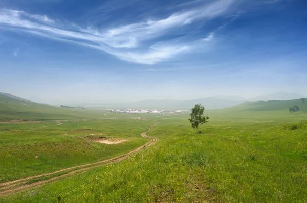 Straße und Grünland — Stockfoto