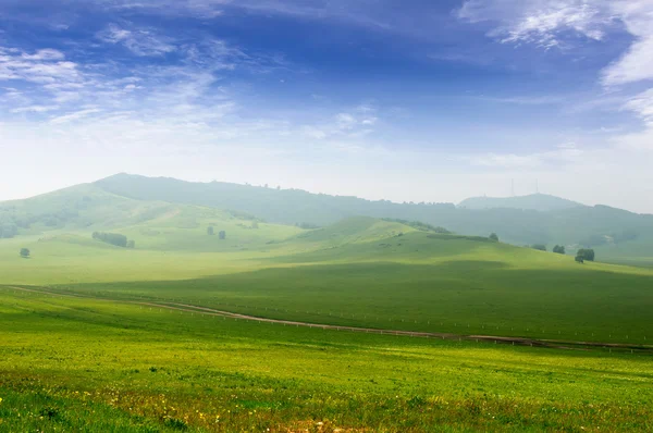 Bright grass — Stock Photo, Image