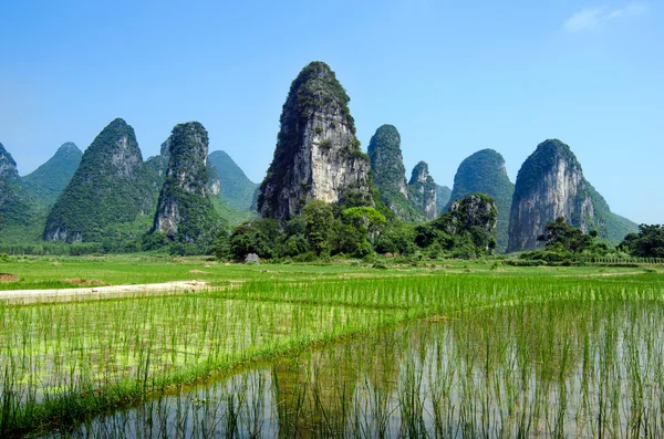 Typical landscape in Yangshuo Guilin, China — Stock Photo, Image