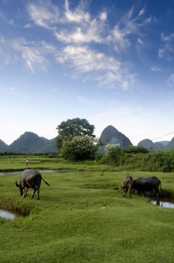 Guilin Çin