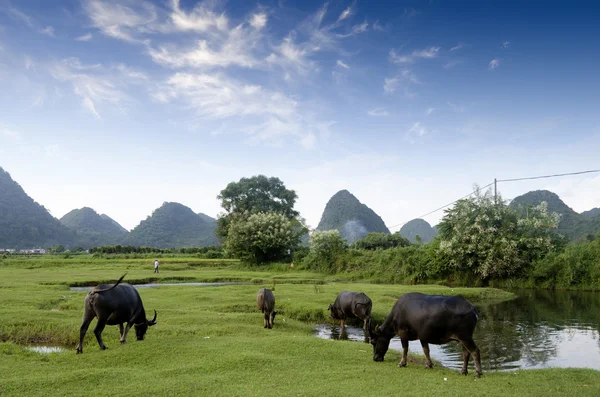 Guilin in china — Stock Photo, Image