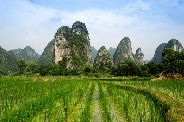 Duszpasterskie dekoracje w guilin — Zdjęcie stockowe