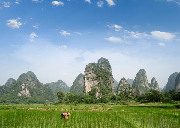 Pastoral scenery in Guilin — Stock Photo, Image