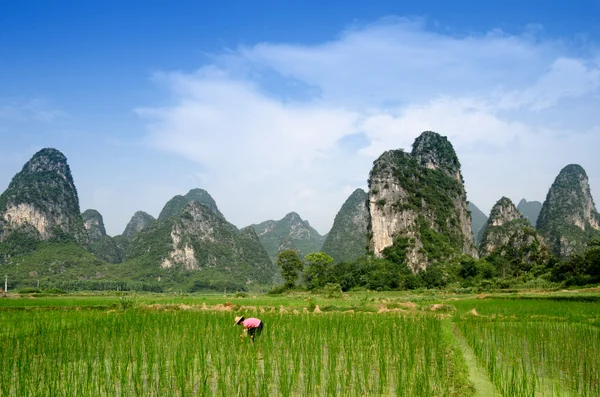 Pastoral scenery in Guilin — Stock Photo, Image