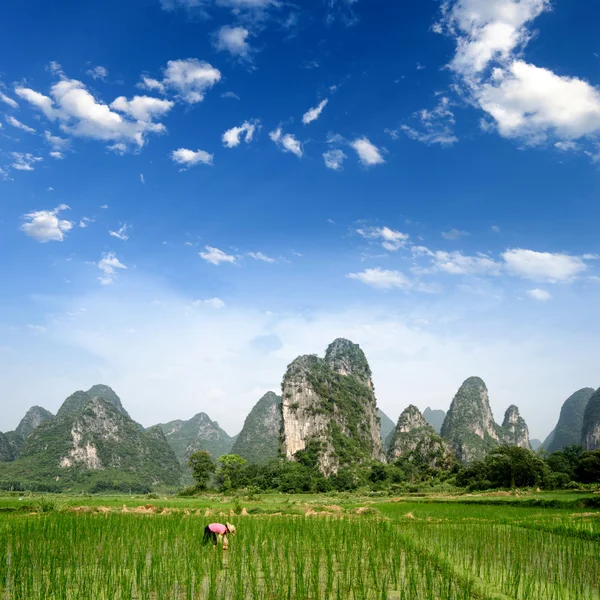 Pastoral scenery in Guilin — Stock Photo, Image