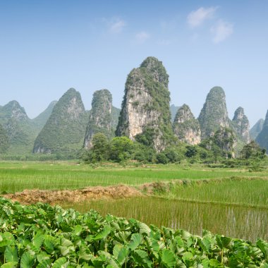 yangshuo guilin, Çin tipik peyzaj