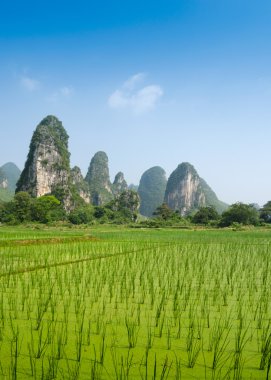 yangshuo guilin, Çin tipik peyzaj