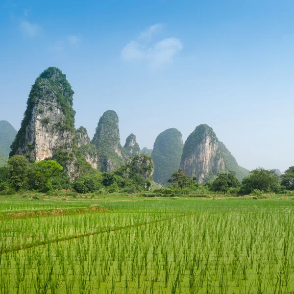 Typical landscape in Yangshuo Guilin, China — Stock Photo, Image