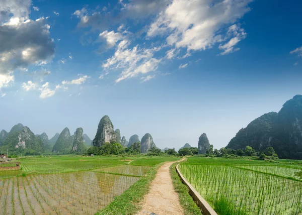 Path across the fields — Stock Photo, Image