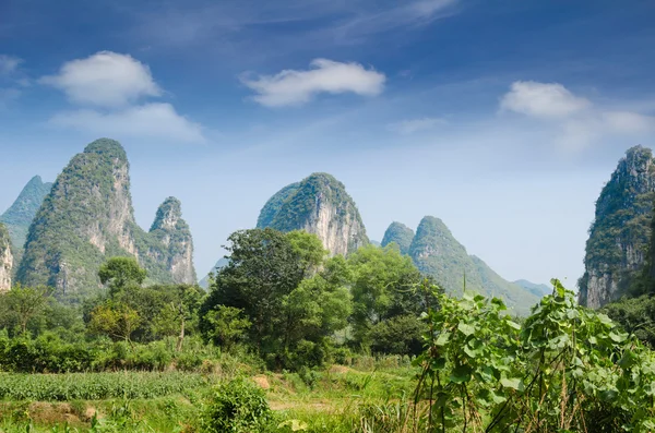 Typical landscape in Yangshuo Guilin, China — Stock Photo, Image