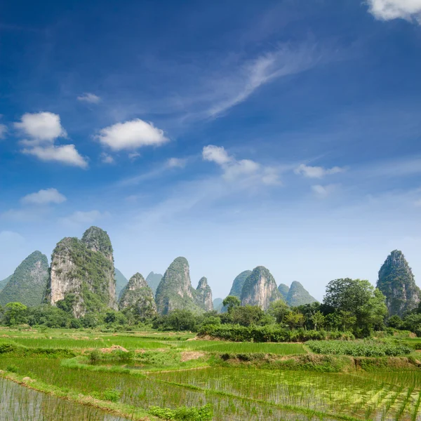 Typiska landskapet i yangshuo guilin, chinatypická krajina v yangshuo guilin, Čína — Stockfoto