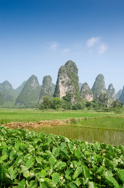 Typowy krajobraz w yangshuo guilin, Chiny — Zdjęcie stockowe