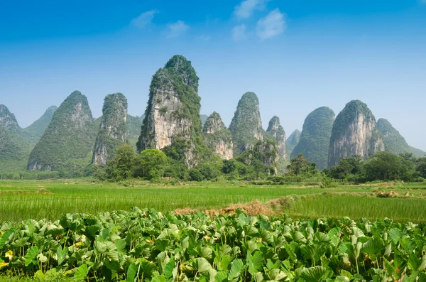 yangshuo guilin, Çin tipik peyzaj