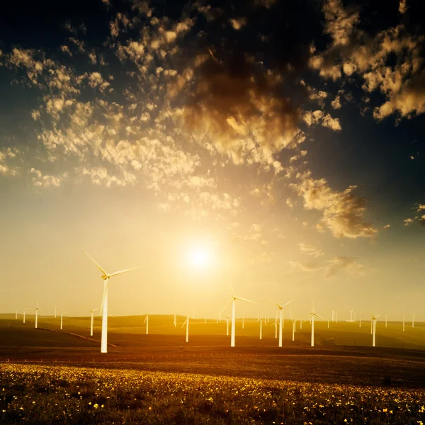 Wind farm — Stock Photo, Image