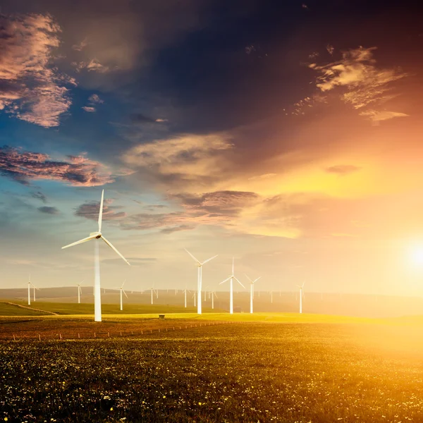 Wind farm — Stock Photo, Image