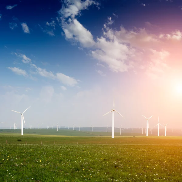 Wind farm — Stock Photo, Image