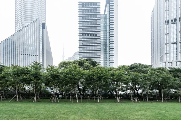 Shanghai Cina — Foto Stock