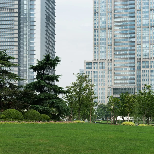 Gras en stad — Stockfoto