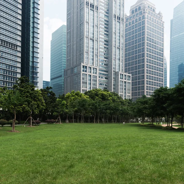 Gras und Stadt — Stockfoto