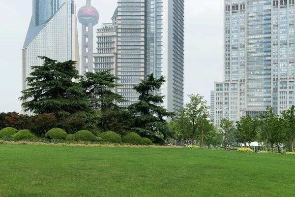 Gras en stad — Stockfoto