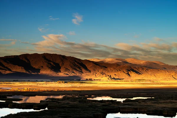 Reed e lago — Fotografia de Stock