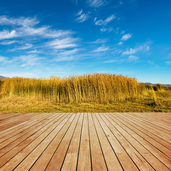 Catwalks and lake — Stock Photo, Image