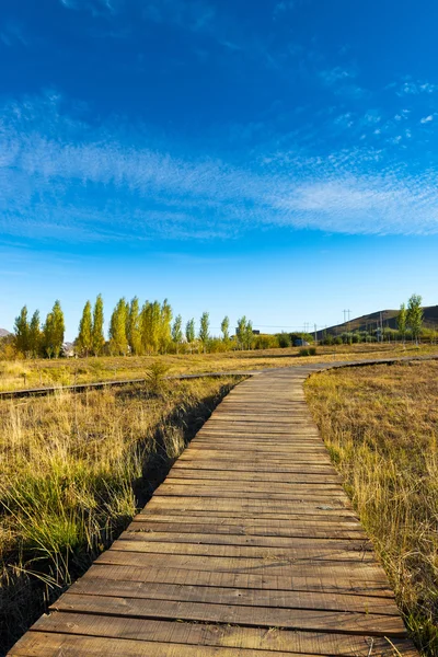 Catwalks and lake — Stock Photo, Image