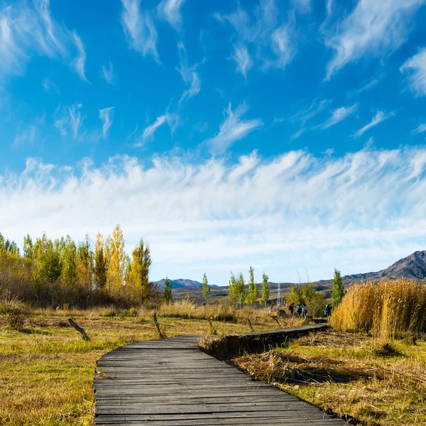 Catwalks and lake — Stock Photo, Image