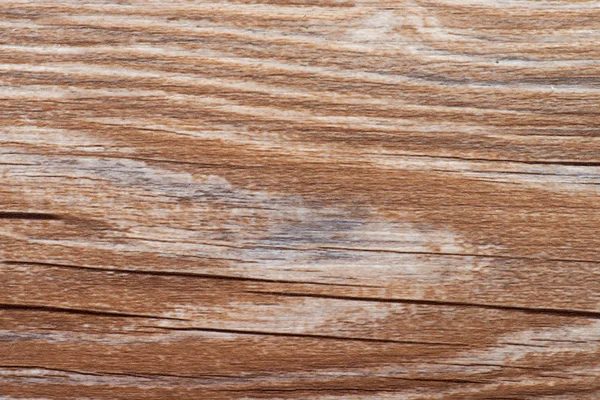 Wood — Stock Photo, Image