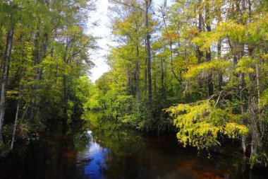 Sweetwater Strand