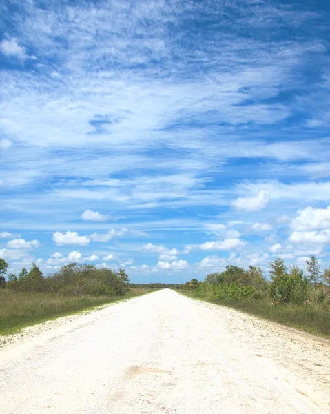 Wagon wheel road — Stock Photo, Image