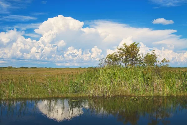 Haai rivier slough — Stockfoto