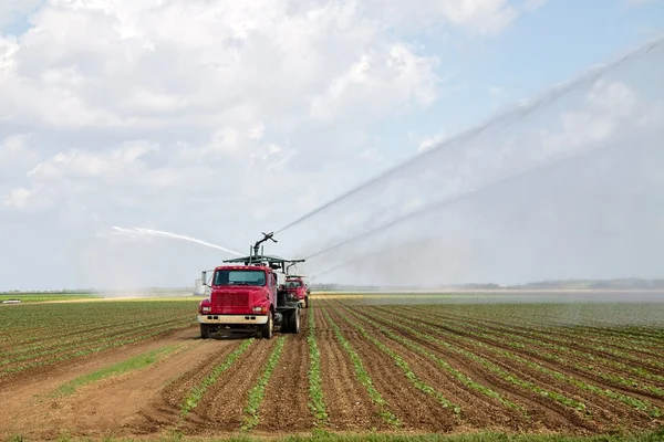 Riego de tierras de cultivo para garantizar la calidad del cultivo — Foto de Stock