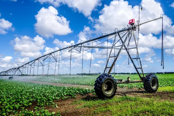 Riego de tierras de cultivo — Foto de Stock