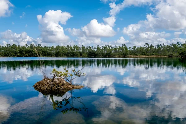 Evergladesjärvi — kuvapankkivalokuva
