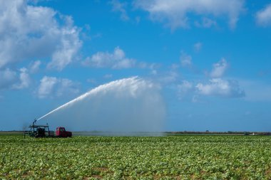 Sulama tarım alanlarının