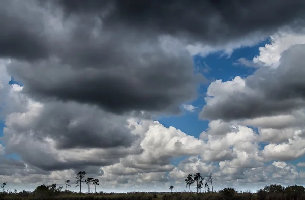 Everglades krajobraz, chmury — Zdjęcie stockowe