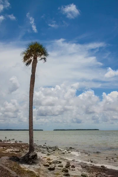 Baia di Florida — Foto Stock