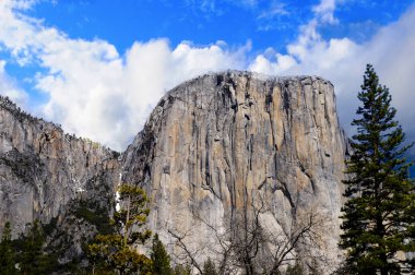 Yosemite Ulusal Parkı