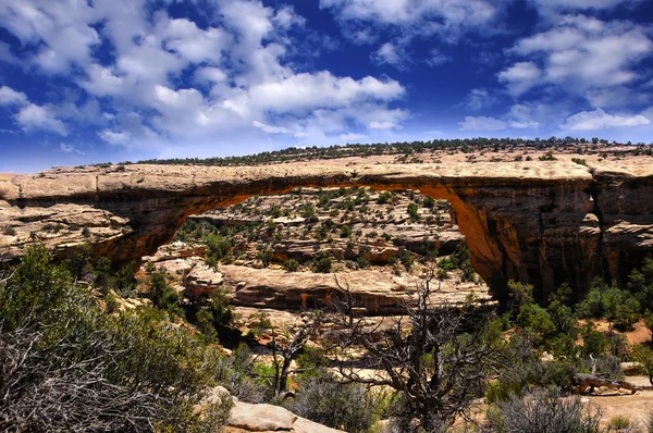 Owachomo Bridge — Stock Photo, Image