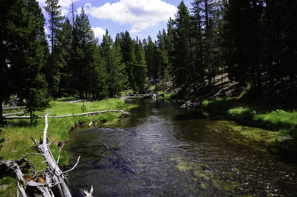 Firehole River — Stock Photo, Image