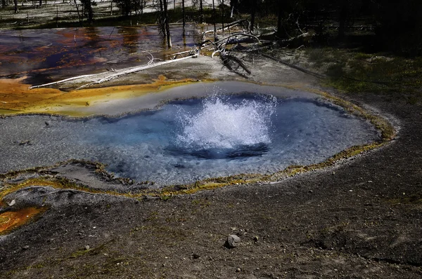 Firehole весна Єллоустонський Національний парк — стокове фото