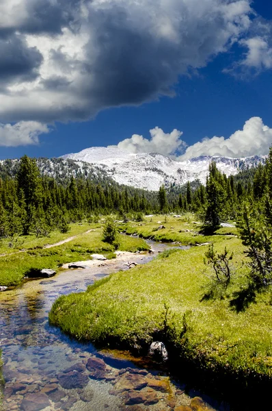 Un pequeño arroyo en la Sierra Nevadas —  Fotos de Stock