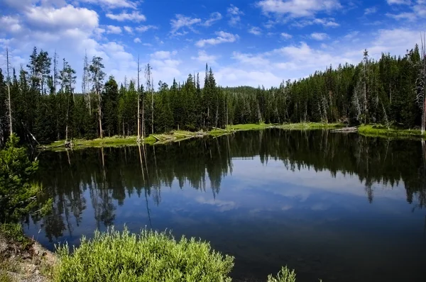 Озеро в національному парку Йосеміті — стокове фото