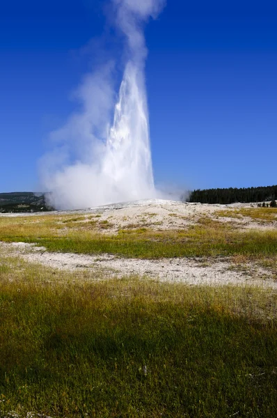 Vecchio fedele Parco Nazionale di Yellowstone — Foto Stock