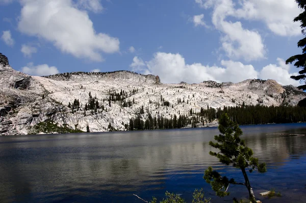 Yosemite National Park — Stock Photo, Image