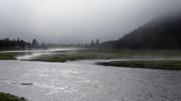 黄石公园麦迪逊河上升起的雾气 — 图库视频影像