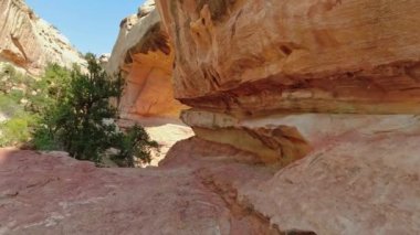 Hickman Doğal Köprüsü 'nün arka tarafında, Utah' taki Capitol Reef Ulusal Parkı 'nda kumtaşı kemeri var. Kamera el kamerasıyla bir patikada yürüyor, kemeri gösteriyor..