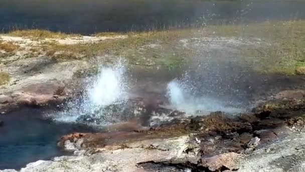 Надія Гейзер Вздовж Вогняної Діри Озера Драйв Єллоустонському Національному Парку — стокове відео
