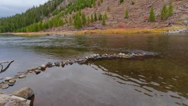 Rio Madison Início Outono Perto Área Piquenique Madison River Longo — Vídeo de Stock